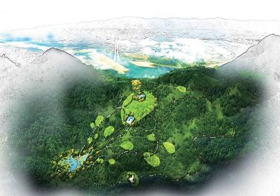 潞江坝芒果庄园